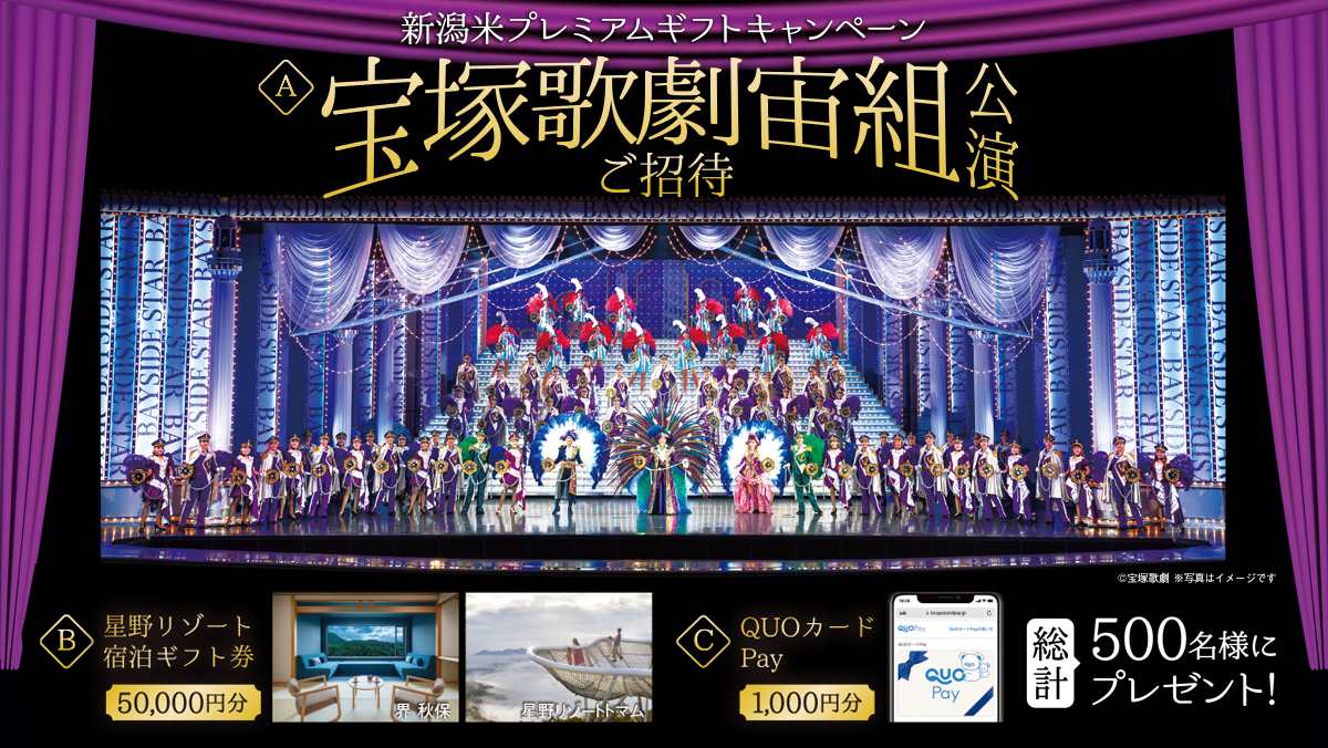 新潟米プレミアムギフトキャンペーン A賞